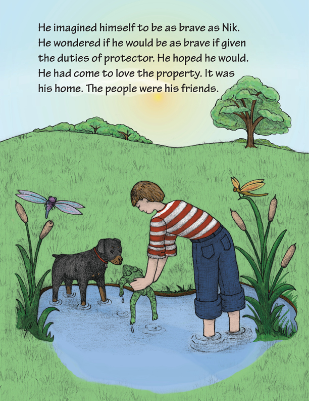 Illustrated Children's Book - The Watchfrog Story